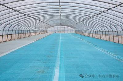 科右中旗春光好 育秧忙 农业用塑料薄膜助农增收