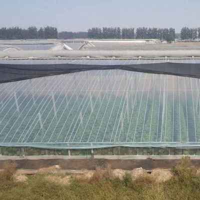 大棚塑料布价格解析 如何选择性价比高的农业用塑料薄膜