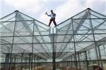 吉林玻璃连栋温室建设与农用塑料薄膜大棚指南 - 邯郸市绿之茵农业科技