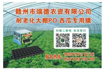 新型大棚骨架助力高效农业——赣州市端德农资塑料薄膜创新应用