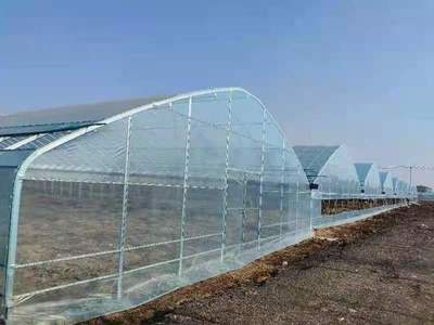 选好大棚膜 收获优质菜——吉林省天玑星农业发展的关键