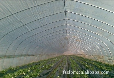 茂南丰收塑料薄膜厂 优质大棚膜与黑白地膜应用与选购指南